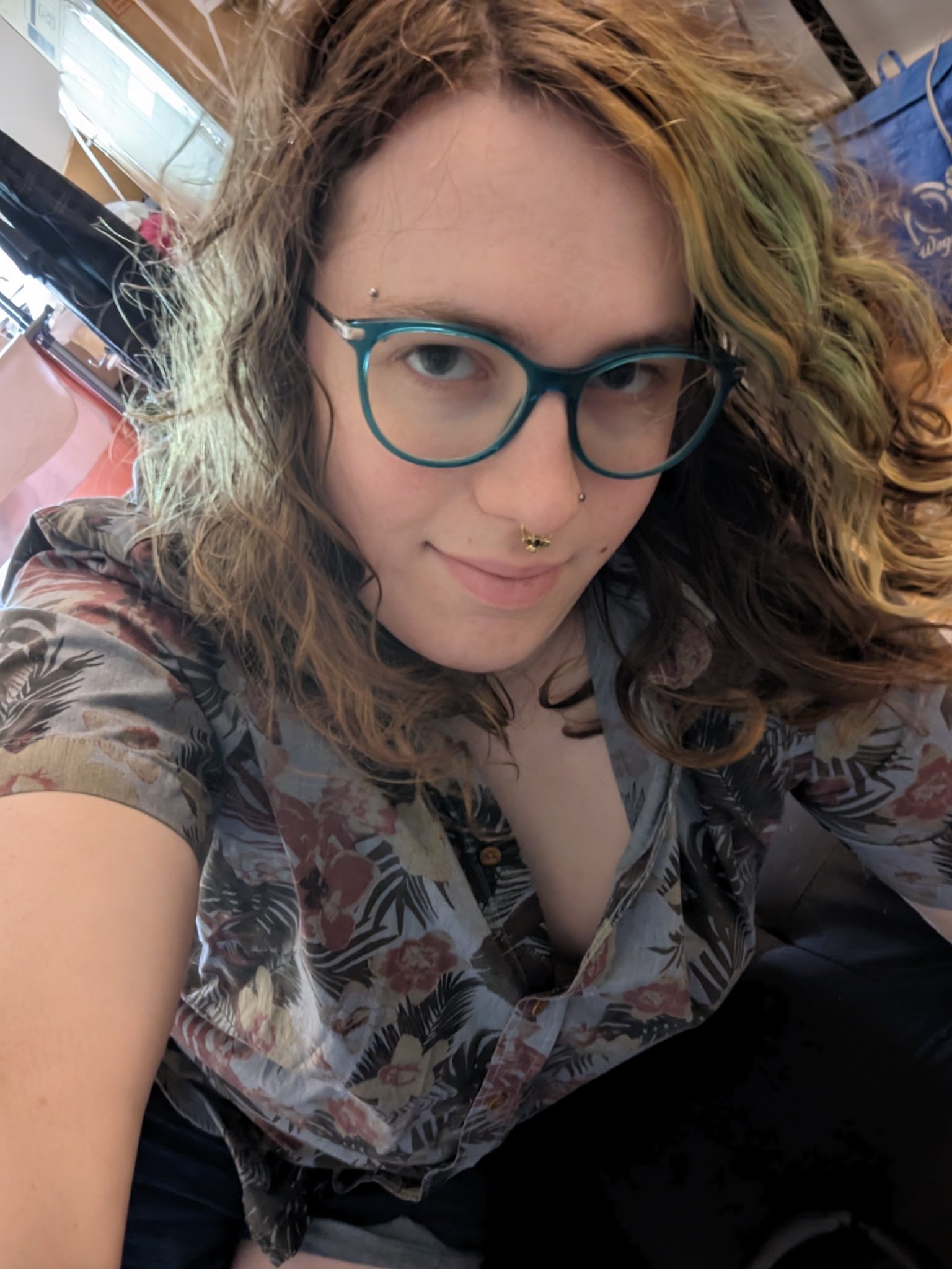 bryn@kitty.social